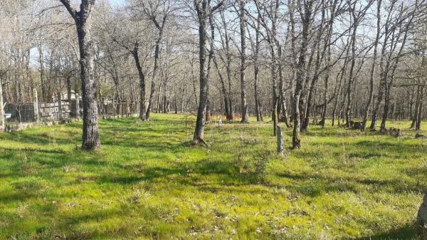 Terreno en Paderne de Allariz