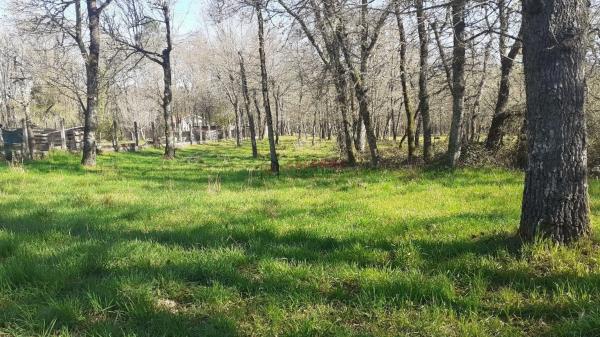 Terreno en Paderne de Allariz