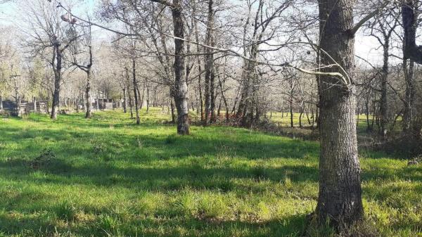 Terreno en Paderne de Allariz