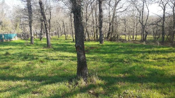 Terreno en Paderne de Allariz