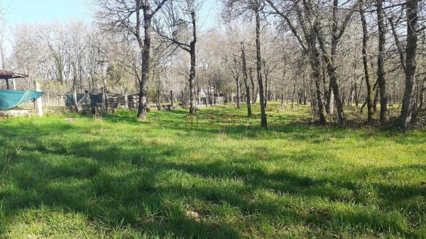 Terreno en Paderne de Allariz