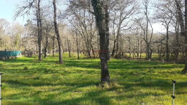 Terreno en Paderne de Allariz