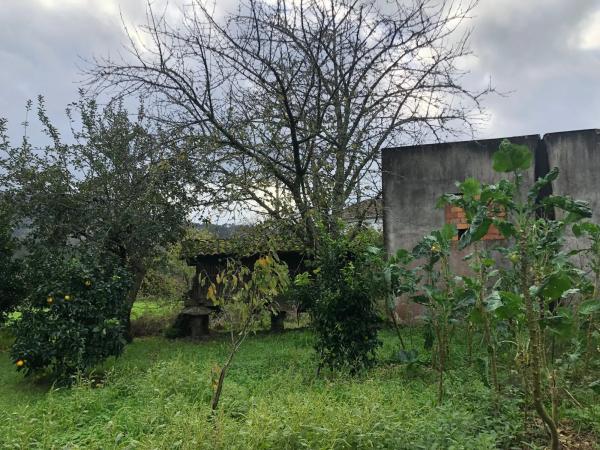Terreno en Coucieiro, 47