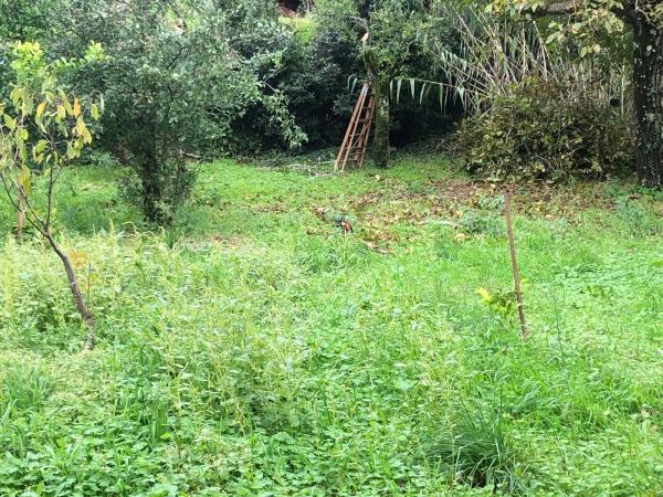 Terreno en Coucieiro, 47