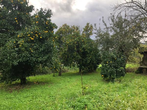 Terreno en Coucieiro, 47