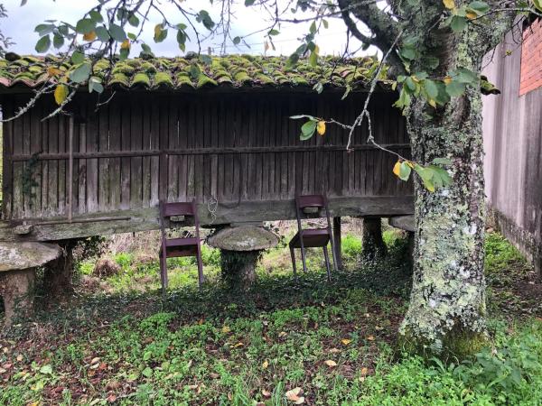 Terreno en Coucieiro, 47