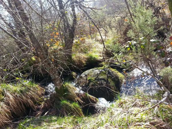Terreno en Polígono 75, Esperela/Bouza da Pedra, 291 Parcela