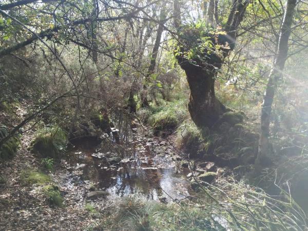 Terreno en Polígono 75, Esperela/Bouza da Pedra, 291 Parcela