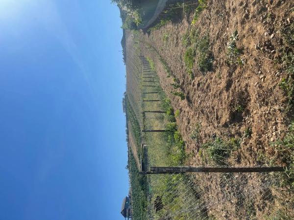 Terreno en calle La mata s/n