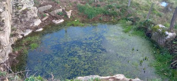 Terreno en camino Telleira, 13 Poligonoparcelatilleira
