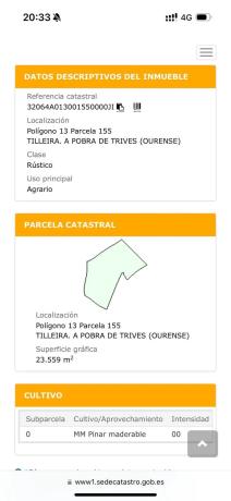 Terreno en camino Telleira, 13 Poligonoparcelatilleira