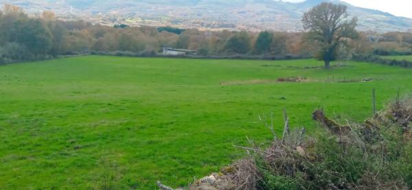 Terreno en camino Telleira, 13 Poligonoparcelatilleira