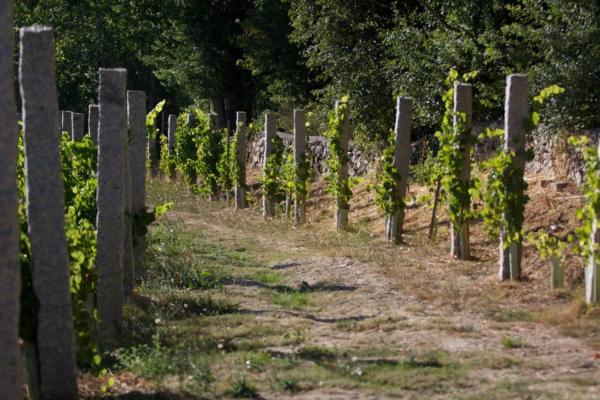 Terreno en Rairiz de Veiga