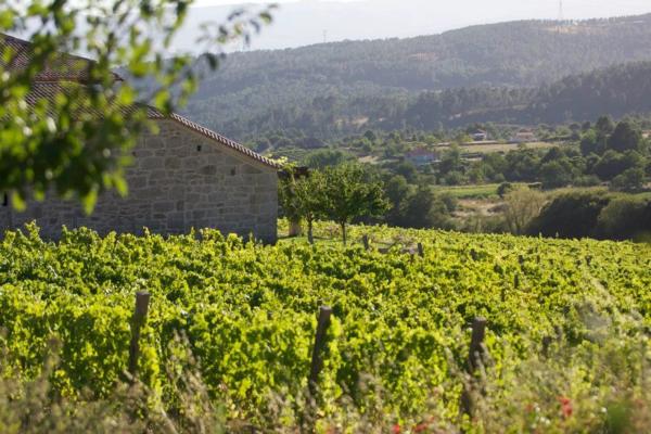 Terreno en Rairiz de Veiga