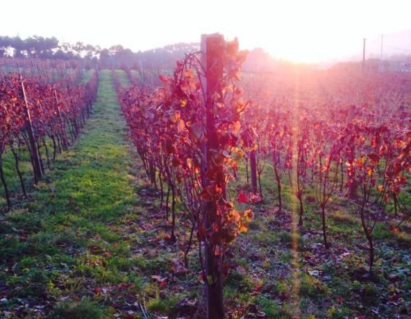 Terreno en Rairiz de Veiga