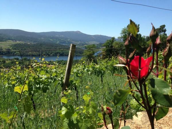 Terreno en Rairiz de Veiga