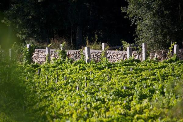 Terreno en Rairiz de Veiga