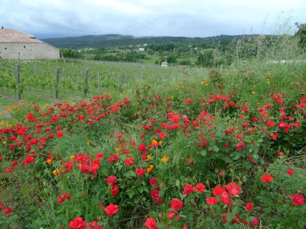 Terreno en Rairiz de Veiga