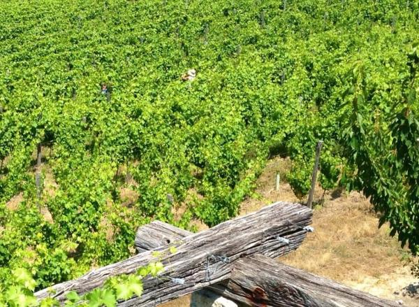 Terreno en Rairiz de Veiga