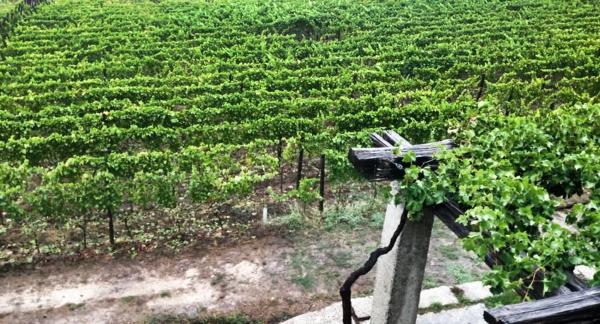 Terreno en Rairiz de Veiga