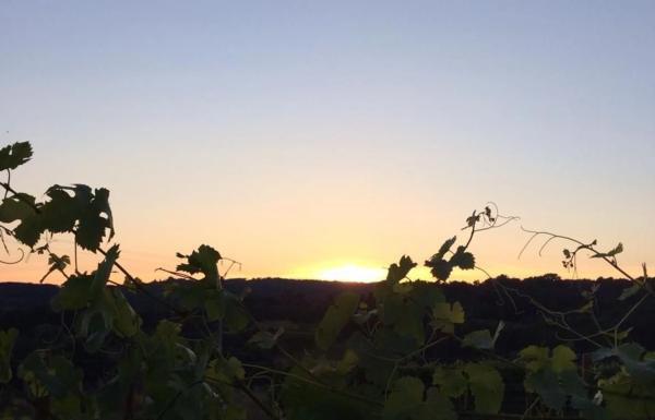 Terreno en Rairiz de Veiga