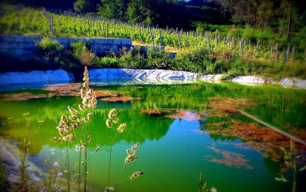 Terreno en Rairiz de Veiga