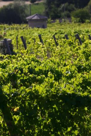 Terreno en Rairiz de Veiga