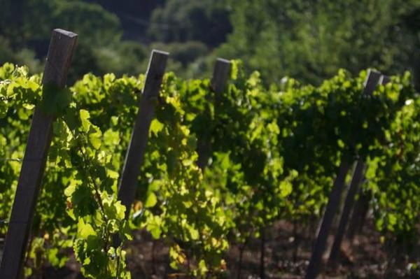 Terreno en Rairiz de Veiga