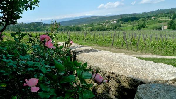 Terreno en Rairiz de Veiga