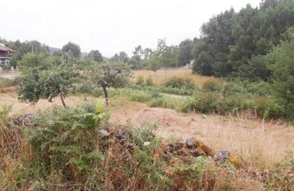 Terreno en camino Cobelas