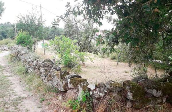 Terreno en camino Cobelas