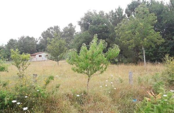 Terreno en camino Cobelas