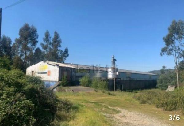 Terreno en Paraje El Carballo Nº S/n Ribadavia (Ourense) s/n, Ribadavia