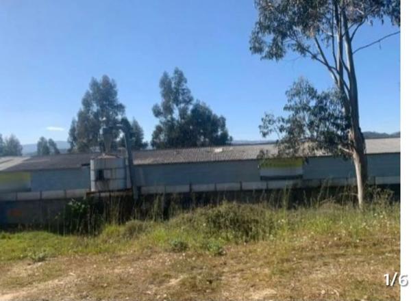 Terreno en Paraje El Carballo Nº S/n Ribadavia (Ourense) s/n, Ribadavia