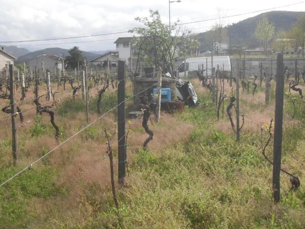 Terreno en camino do Val, 3