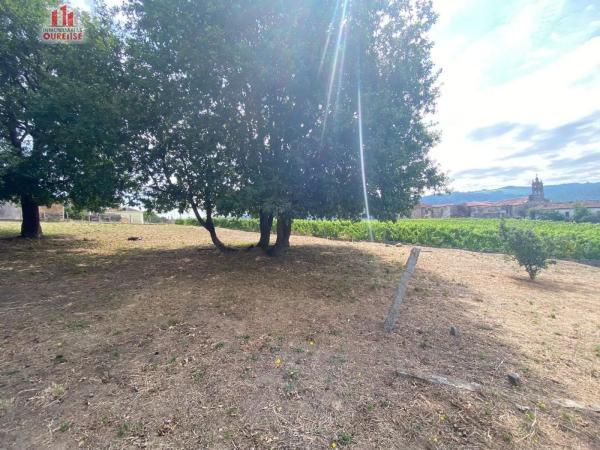 Terreno en Ribadavia