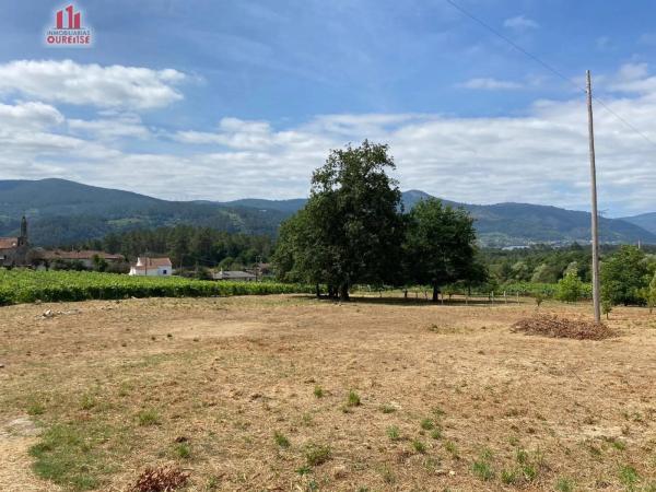 Terreno en Ribadavia