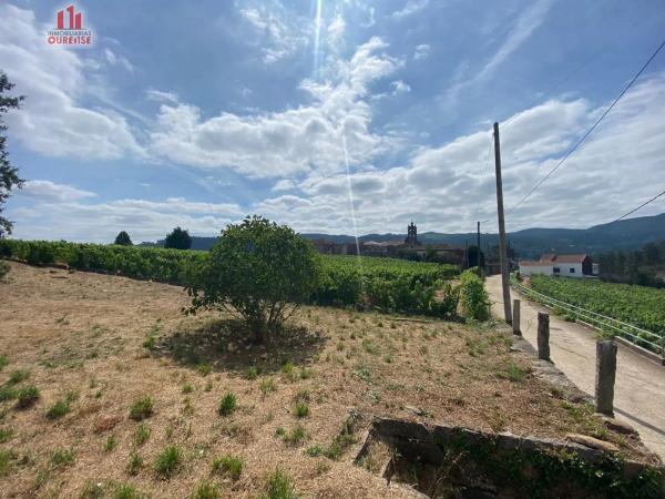 Terreno en Ribadavia