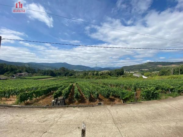 Terreno en Ribadavia