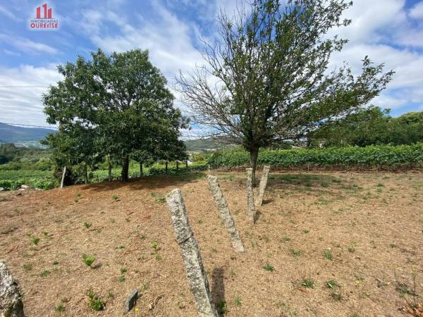 Terreno en Ribadavia