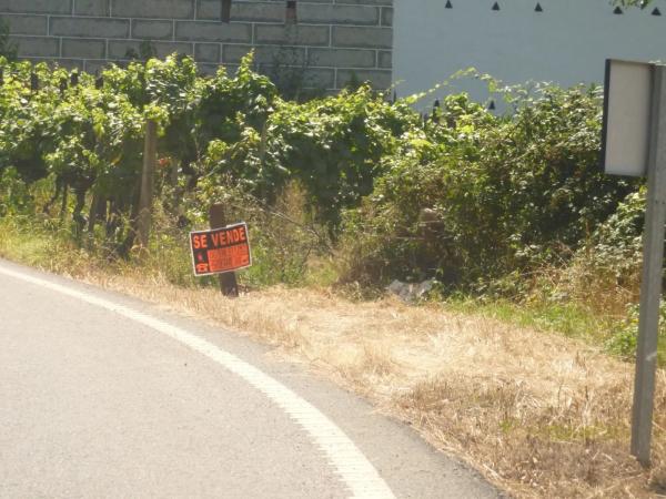 Terreno en San Andres s/n