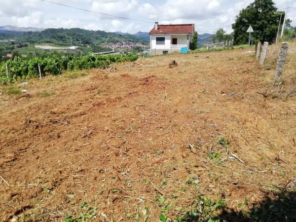 Terreno en San Andres s/n