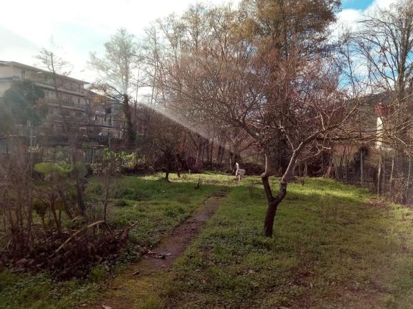 Terreno en calle Muñoz Calero, 53 d