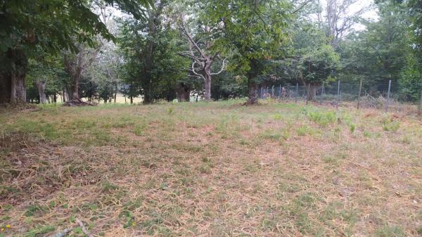 Terreno en camino Ventas-Marcelin, 68