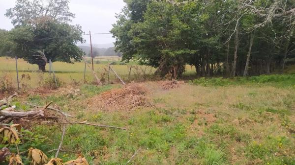 Terreno en camino Ventas-Marcelin, 68