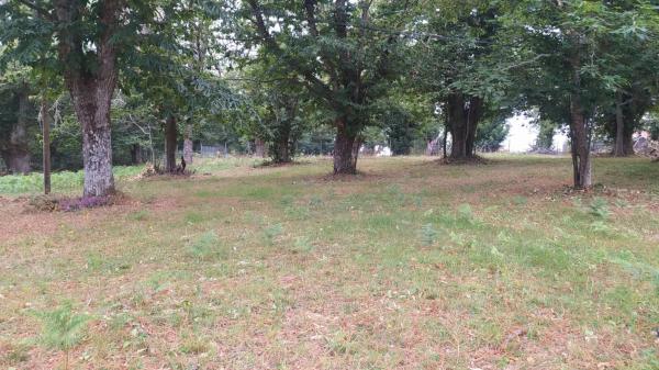 Terreno en camino Ventas-Marcelin, 68