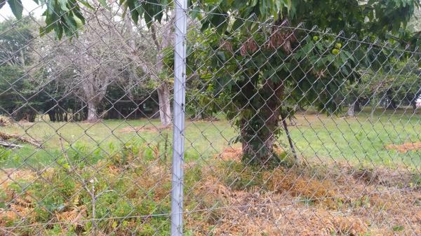 Terreno en camino Ventas-Marcelin, 68