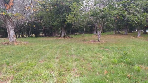 Terreno en camino Ventas-Marcelin, 68