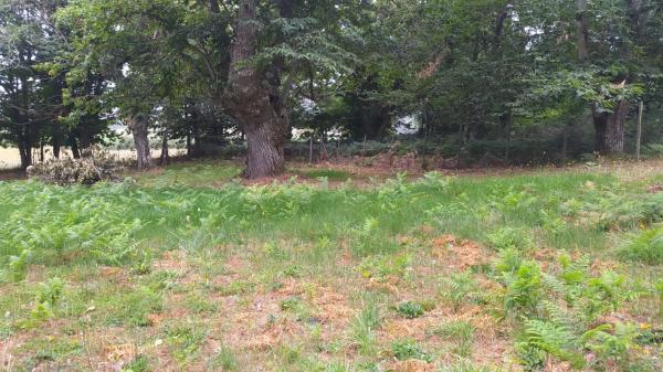 Terreno en camino Ventas-Marcelin, 68