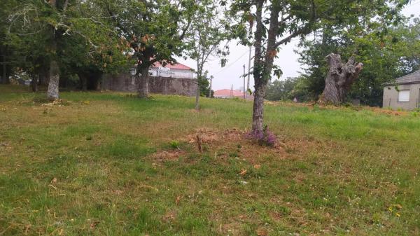 Terreno en camino Ventas-Marcelin, 68